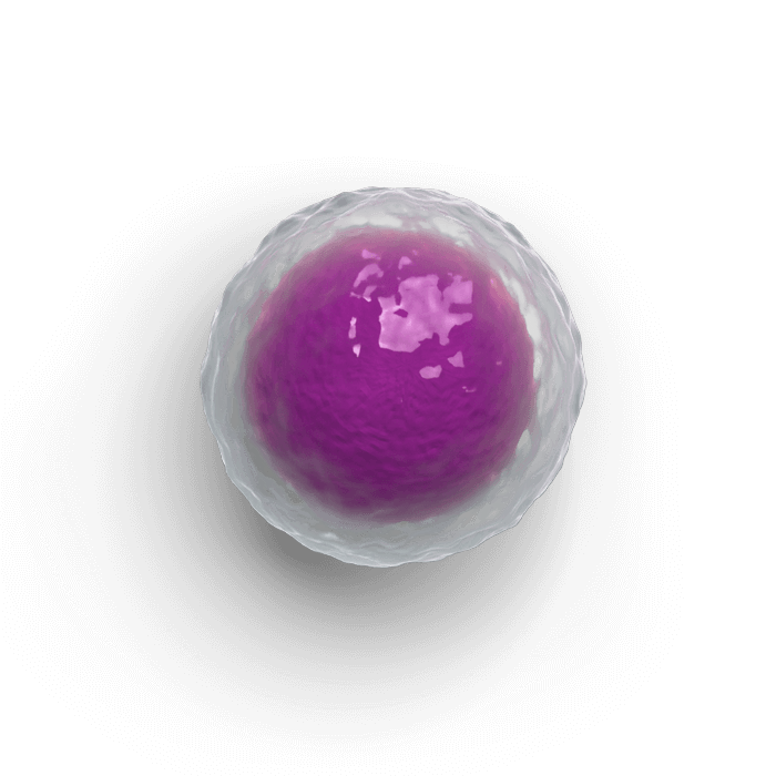 HSPC cell dying