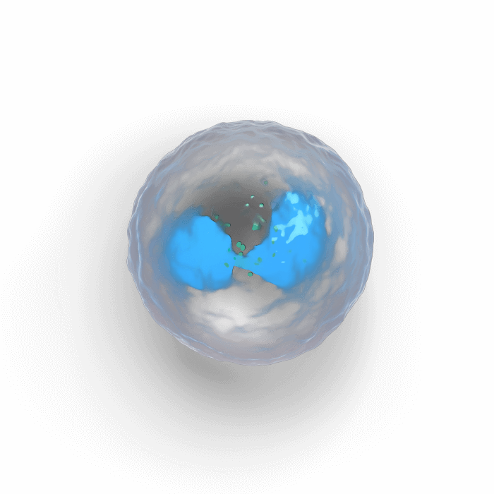 Eosinophil cell